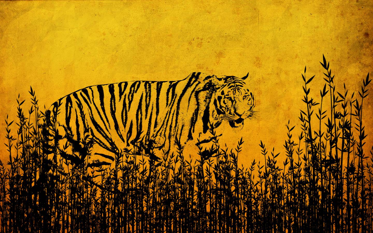 Tiger Image Wallpaper View HD