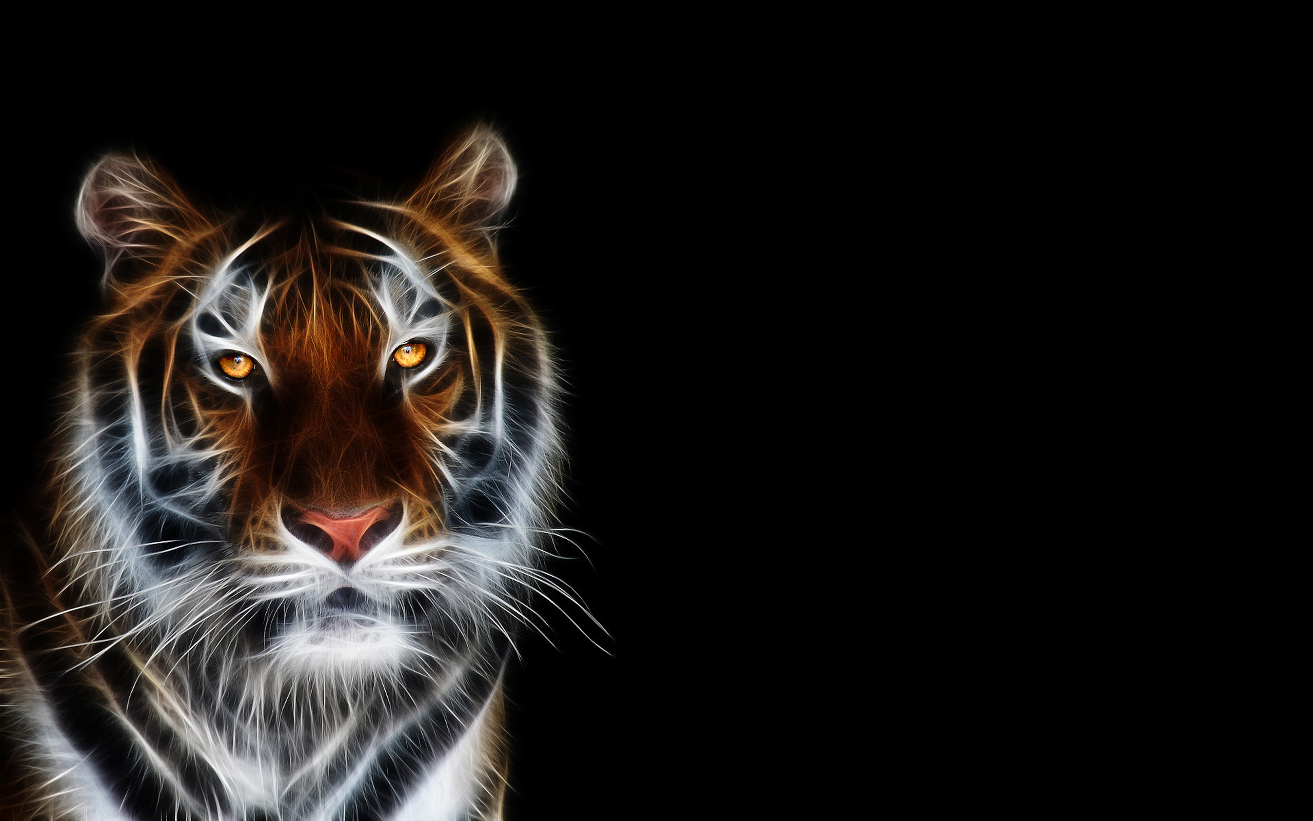 28+ Best HD Tiger Wallpapers | feelgrPH