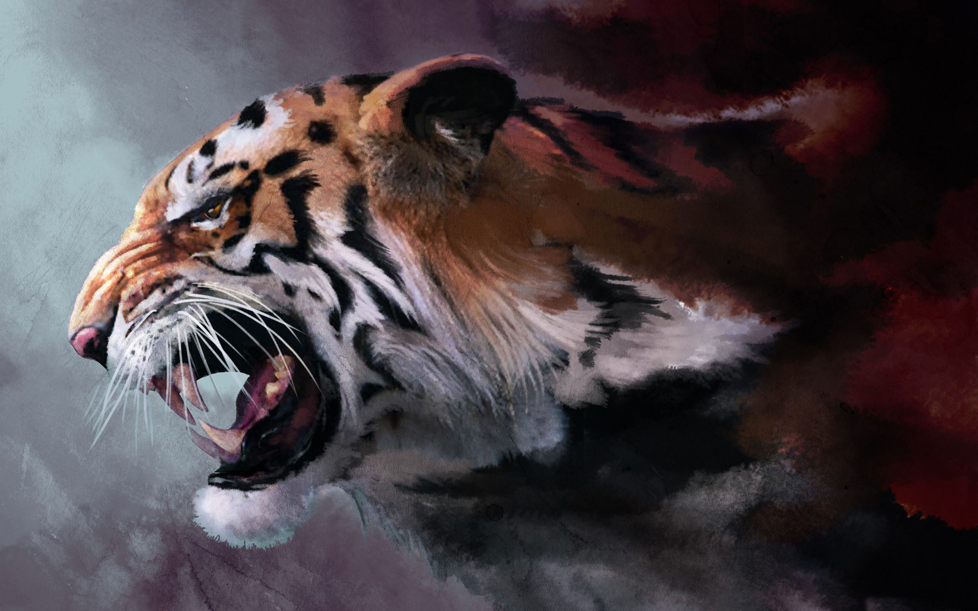 Tiger Hd Wallpaper 0338