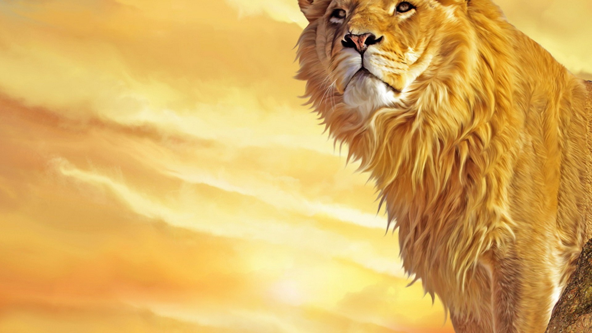 Lion tiger wallpaper dowload 3d hd pictures.