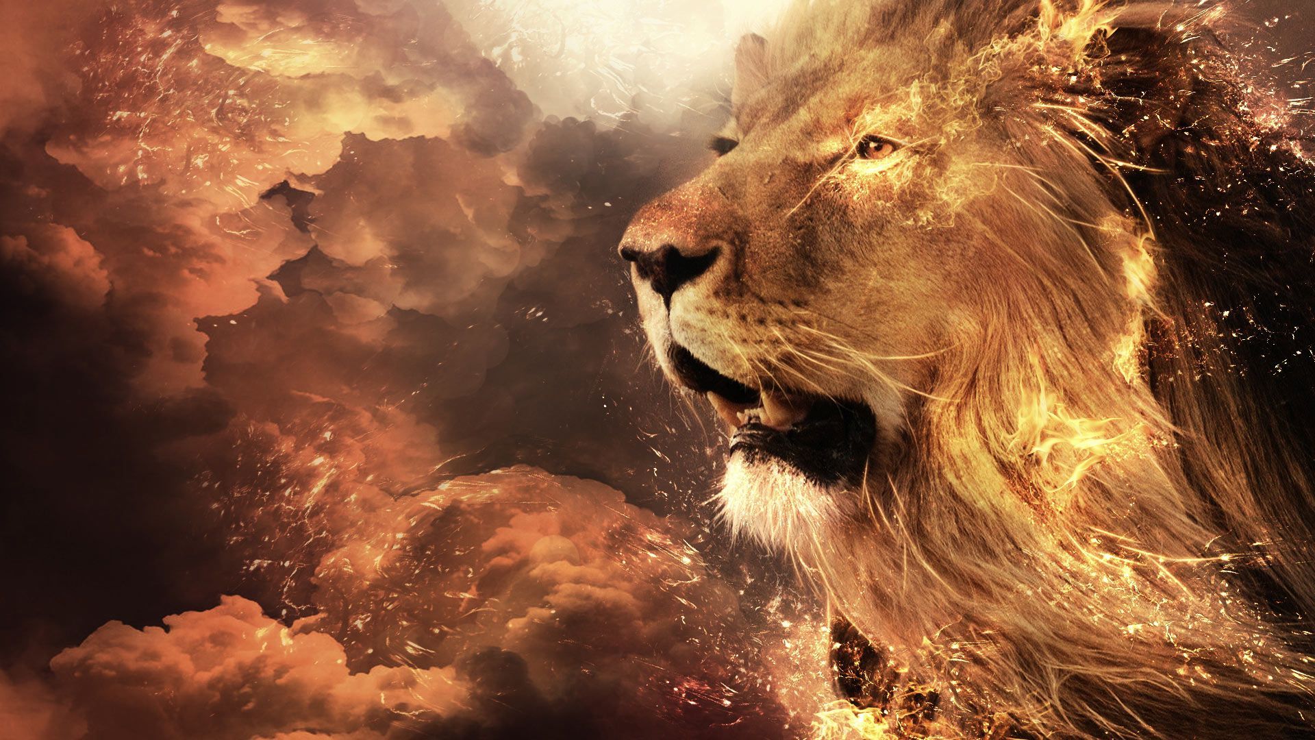 812 Lion HD Wallpapers | Backgrounds - Wallpaper Abyss