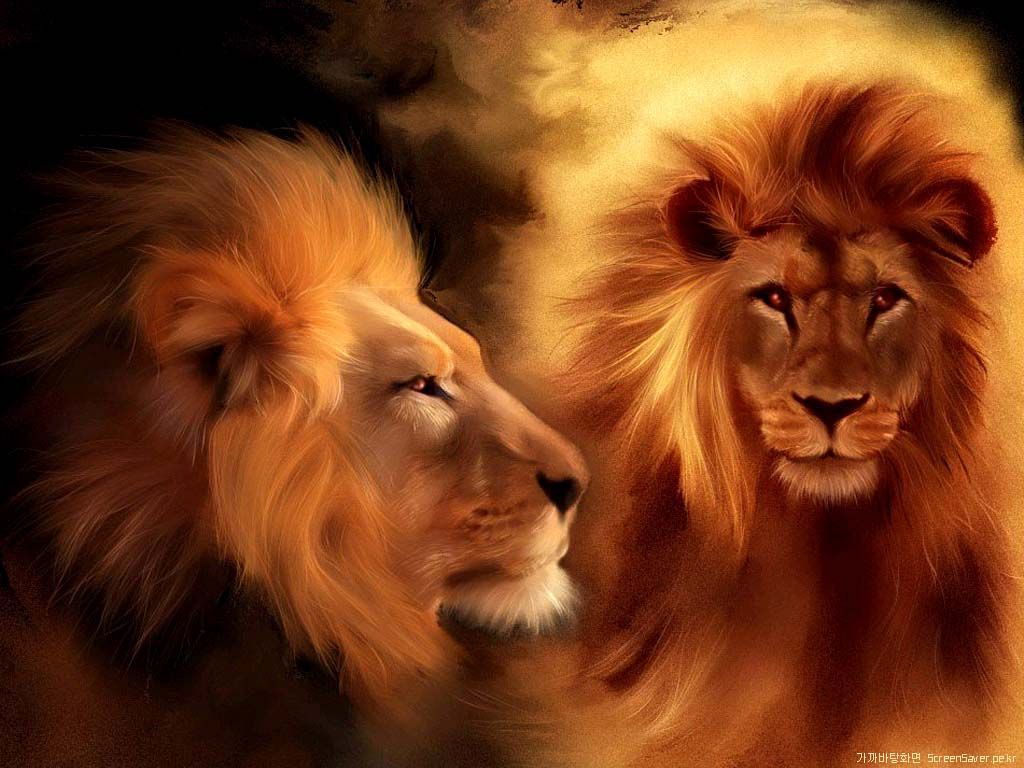 Download HD Lion Wallpapers For Desktop Background Free | HD ...