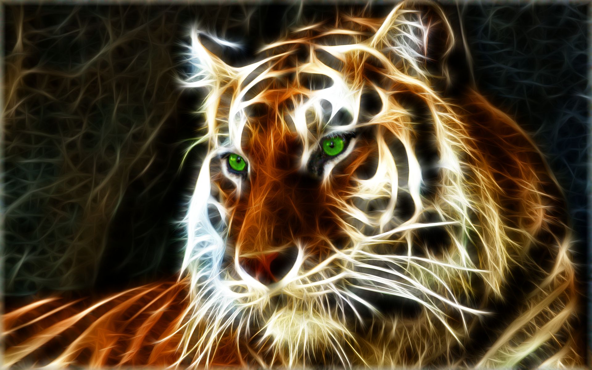 Backgrounds tiger wallpaper