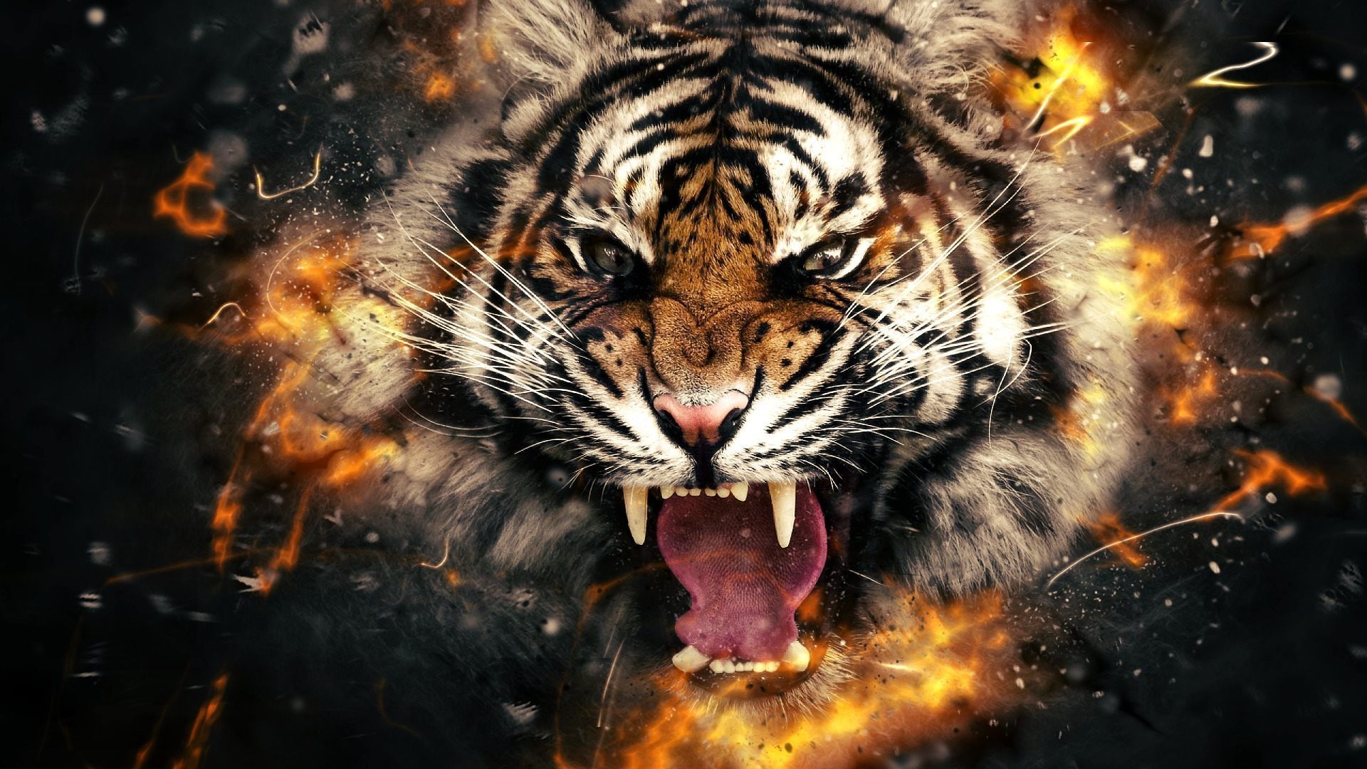 Tiger Head Wallpaper HD Download For Desktop Of Tiger Face