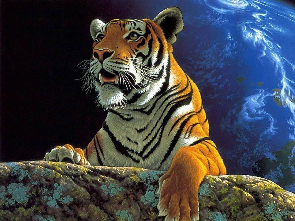 Tiger eye. Siberian tiger pictures, artwork, tattoos, wallpapers ...