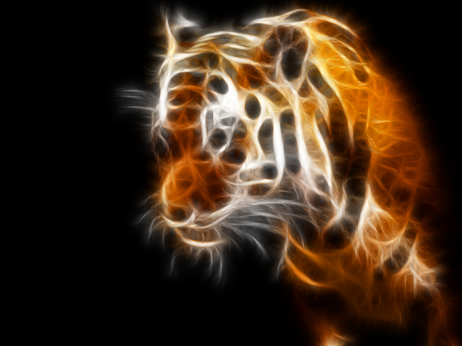 Tiger HD Backgrounds