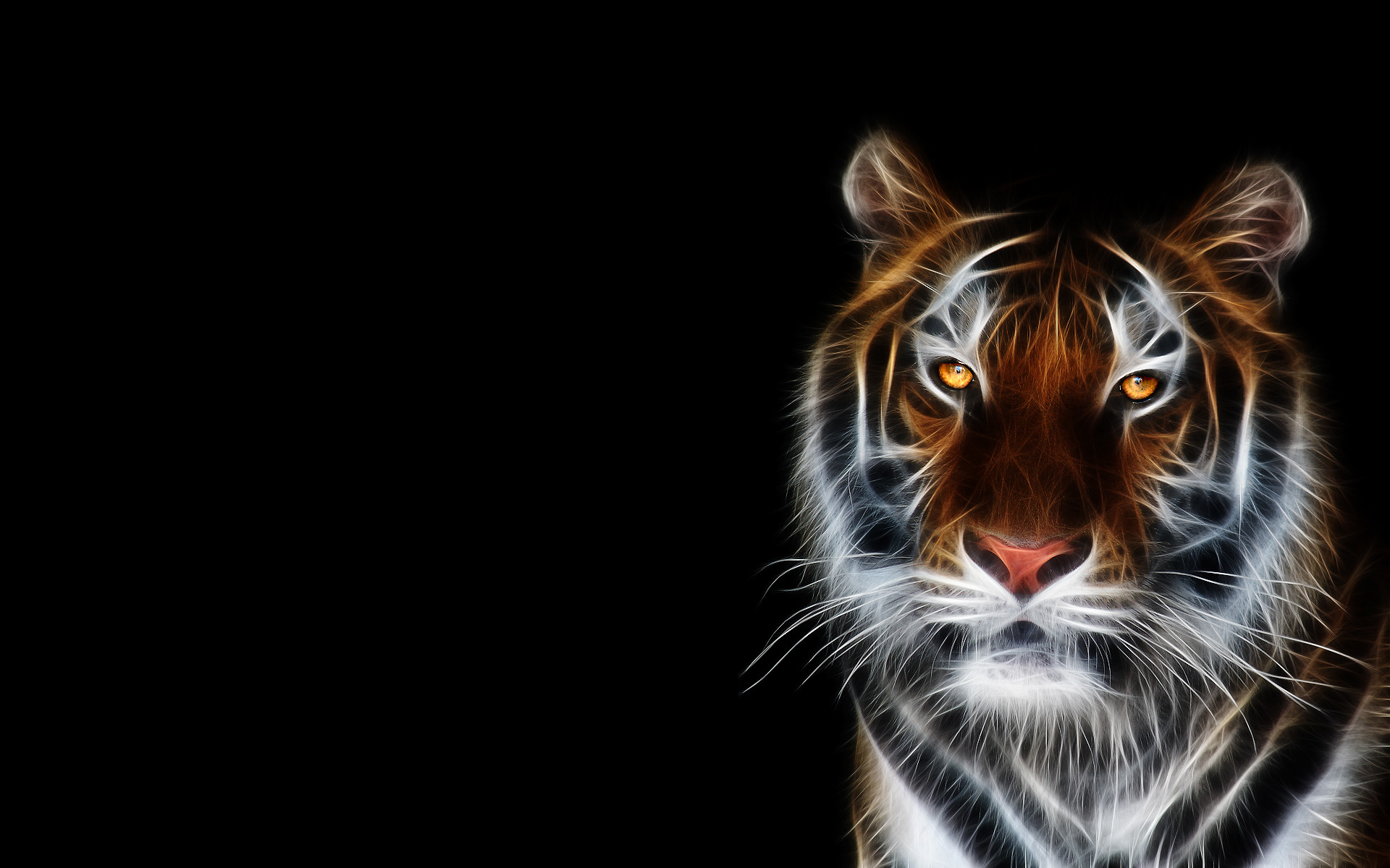 Nice-Tiger-Full-HD-Wallpaper – Sky HD Wallpaper