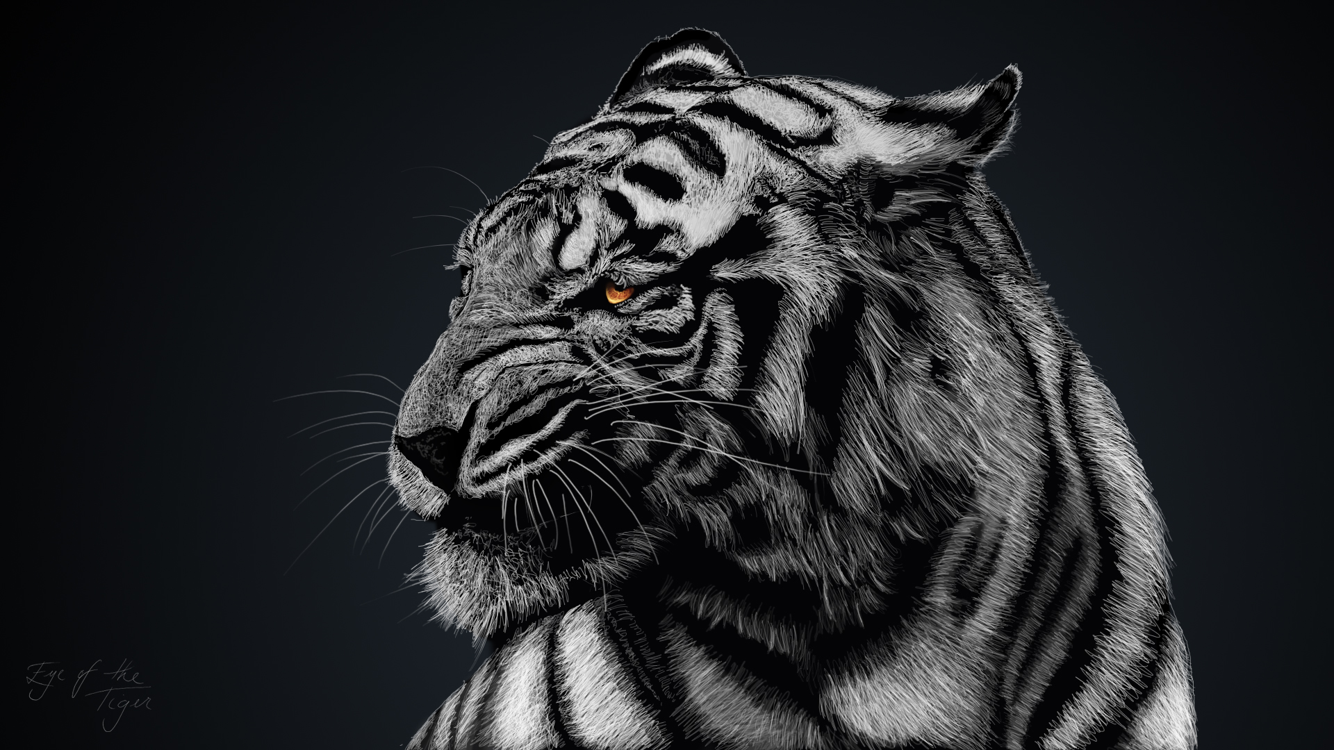 High Resolution Tiger Black and White HD Wallpaper Full Size ...