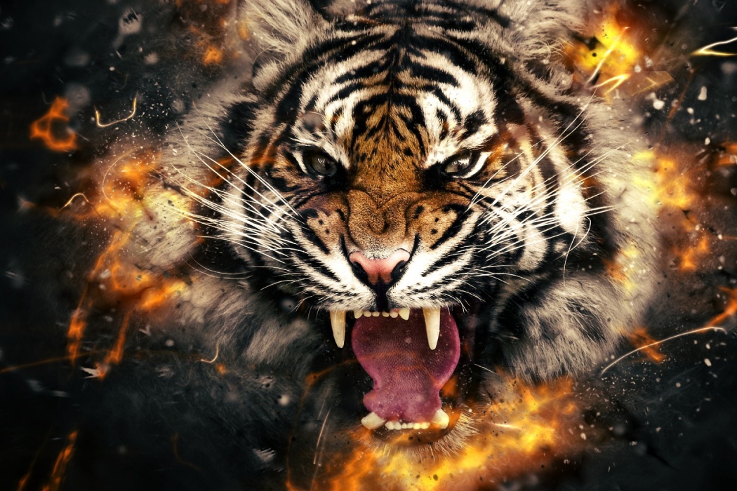 Tiger Roaring Face Abstract wallpaper | Best HD Wallpapers