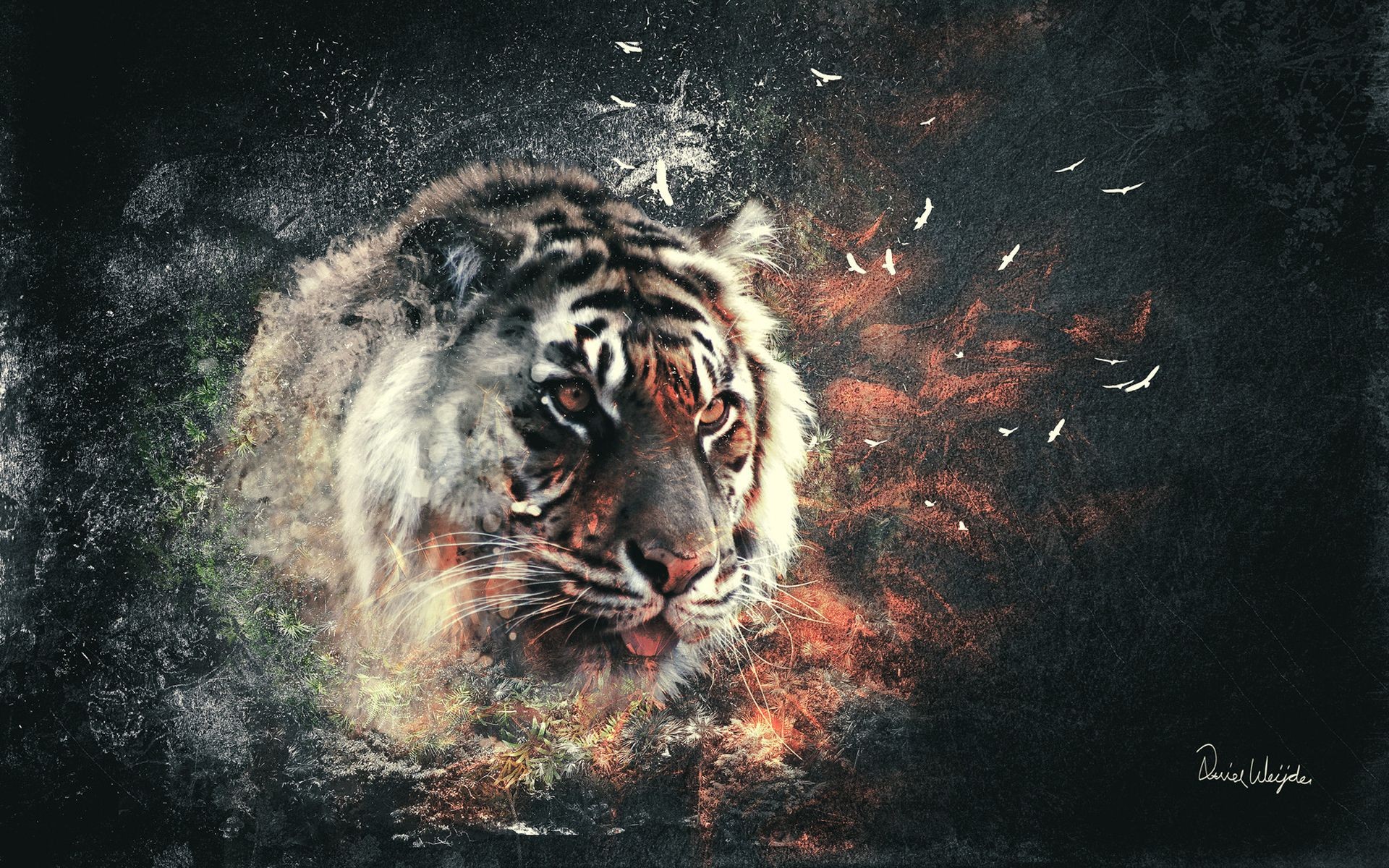 Tiger art Wallpaper hd background - Fresh HD Wallpapers - HiFi Papers