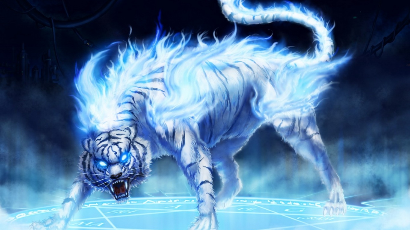 Free Download Wallpaper HD white tiger,beautiful tiger,hd tiger