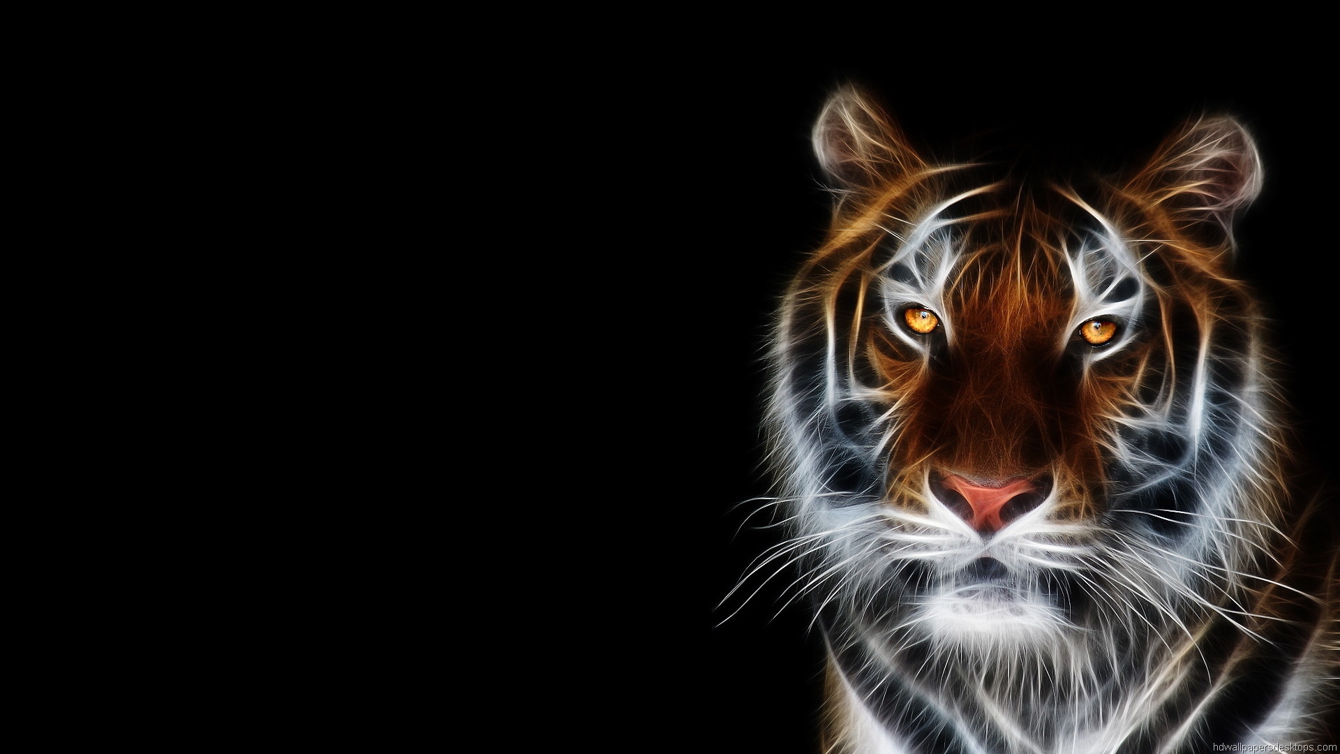 ANIMALS ANIMATED TIGER DESKTOP BACKGROUND WALLPAPER (1080p) - HD IMAGE