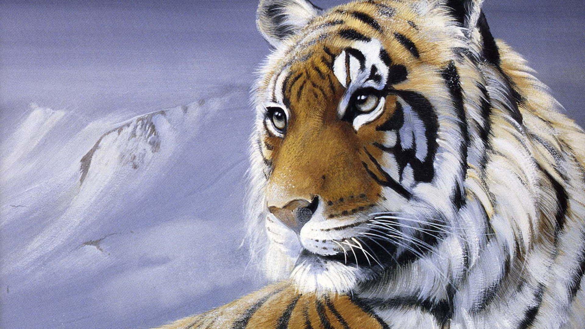 Wild Tiger Wallpapers Download - HD Great Images