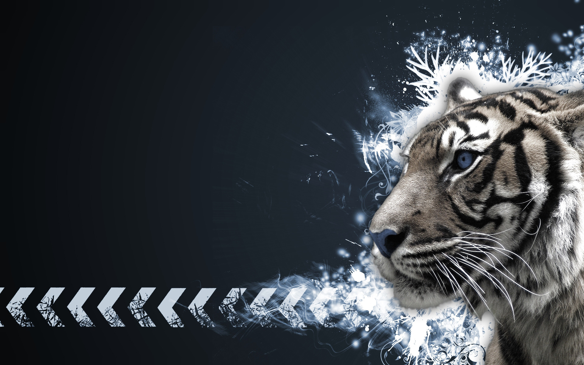 Tiger Vector by Sed Rah Exclusive HD Wallpapers #1637
