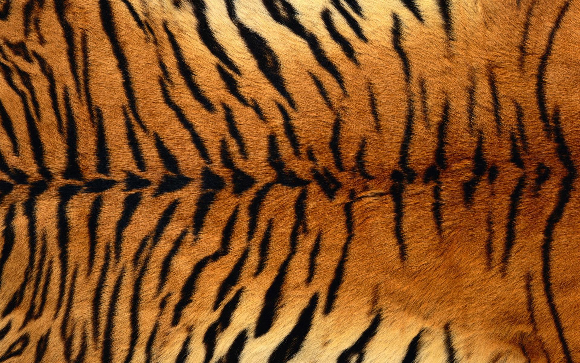 Tiger Print Wallpaper - Desktop Backgrounds