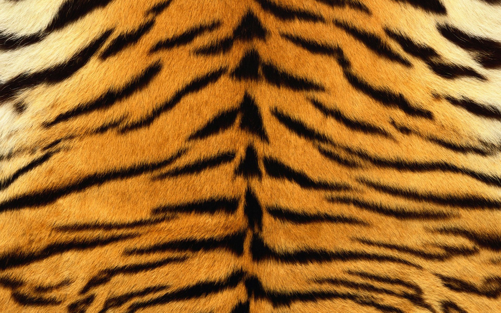 Tiger print wallpaper