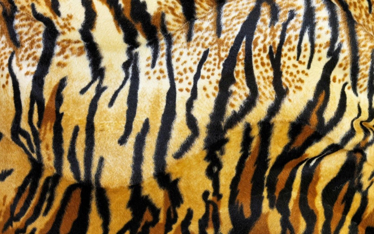 Tiger Print Wallpapers Group (47+)
