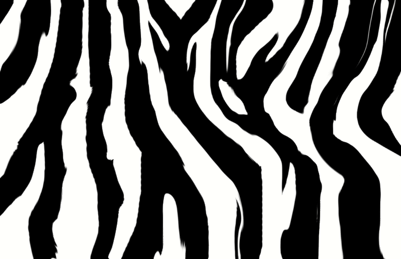Paloreadro zebra print wallpaper