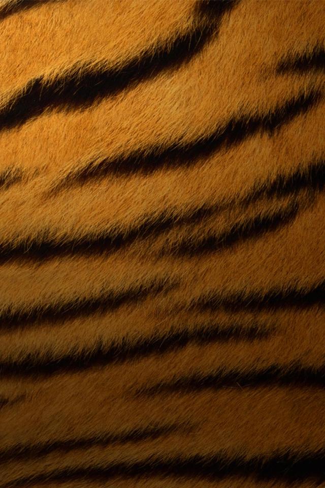 Tiger Print Wallpaper For Iphone