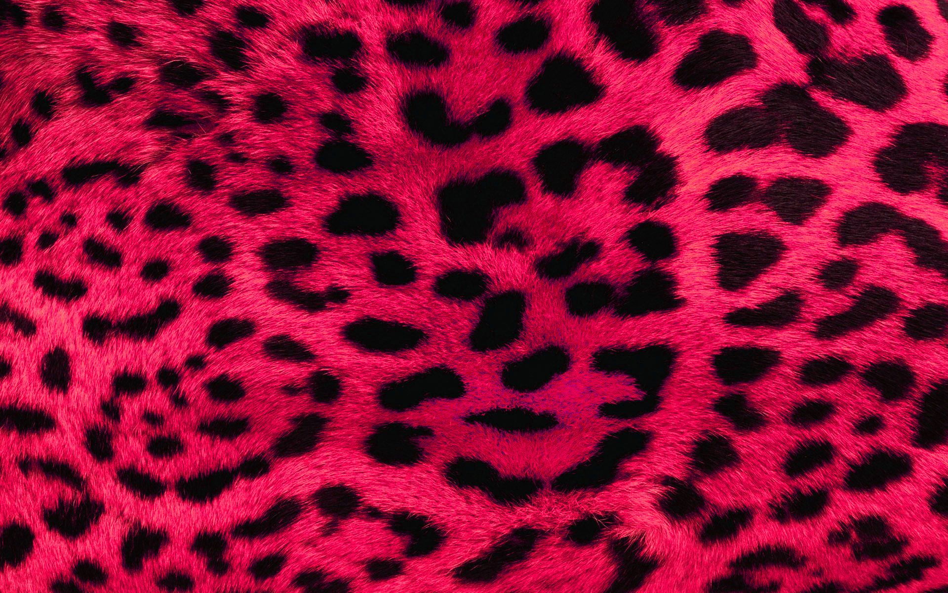 Leopard, Pattern - 1575703
