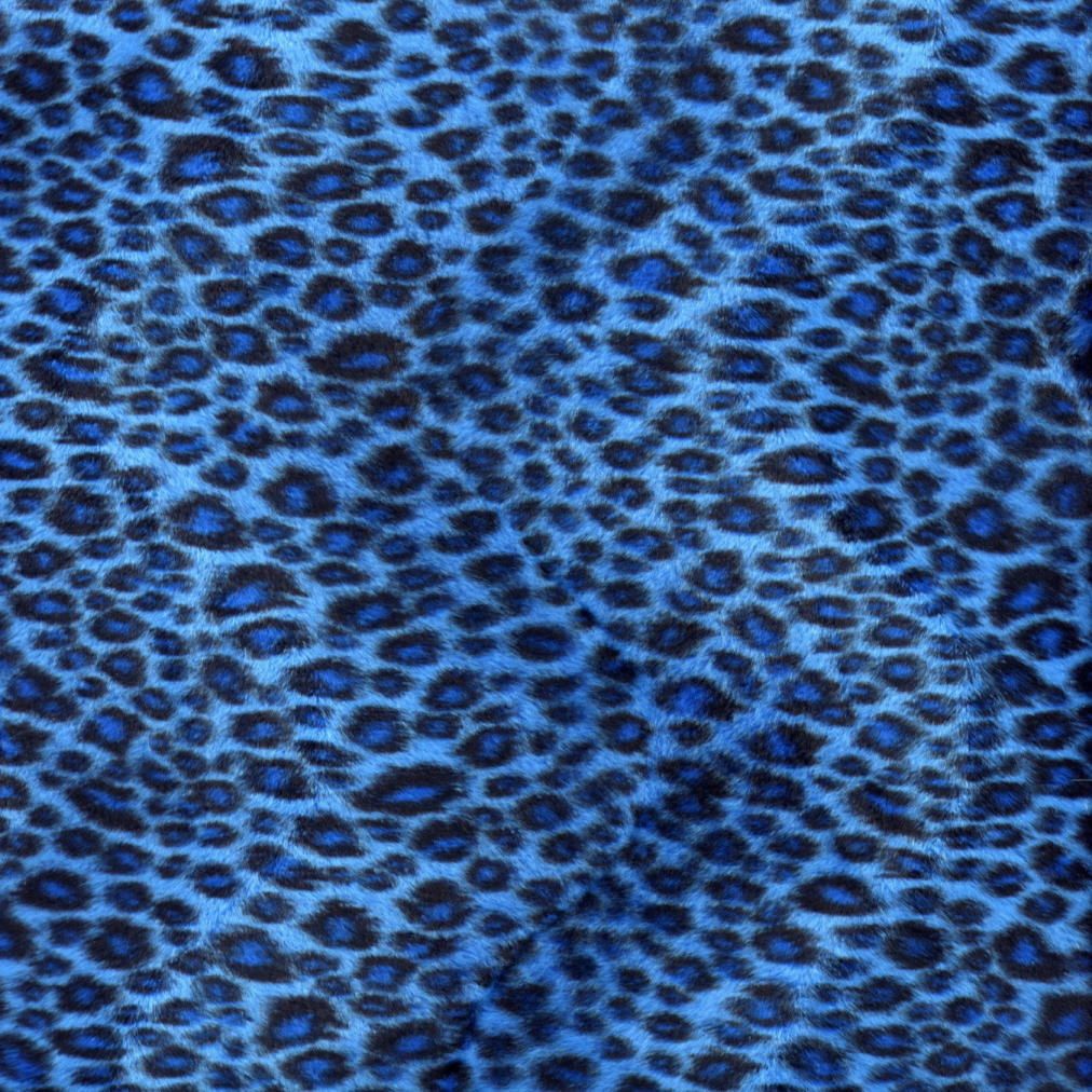 Blue Zebra Wallpaper - All Wallpapers New