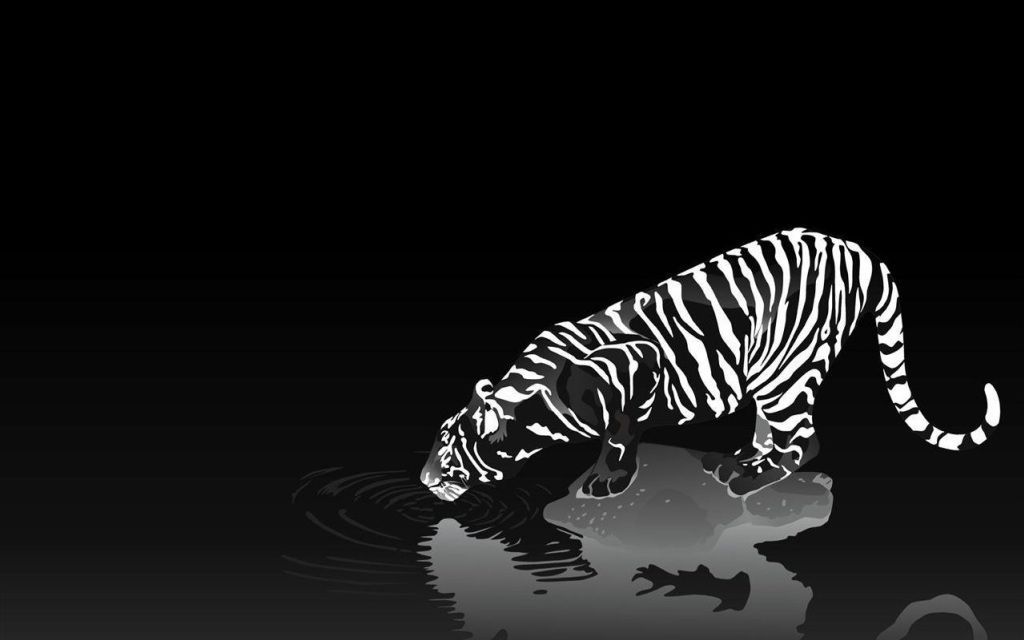 Tiger Wallpapers Desktop - Wallpaper Cave