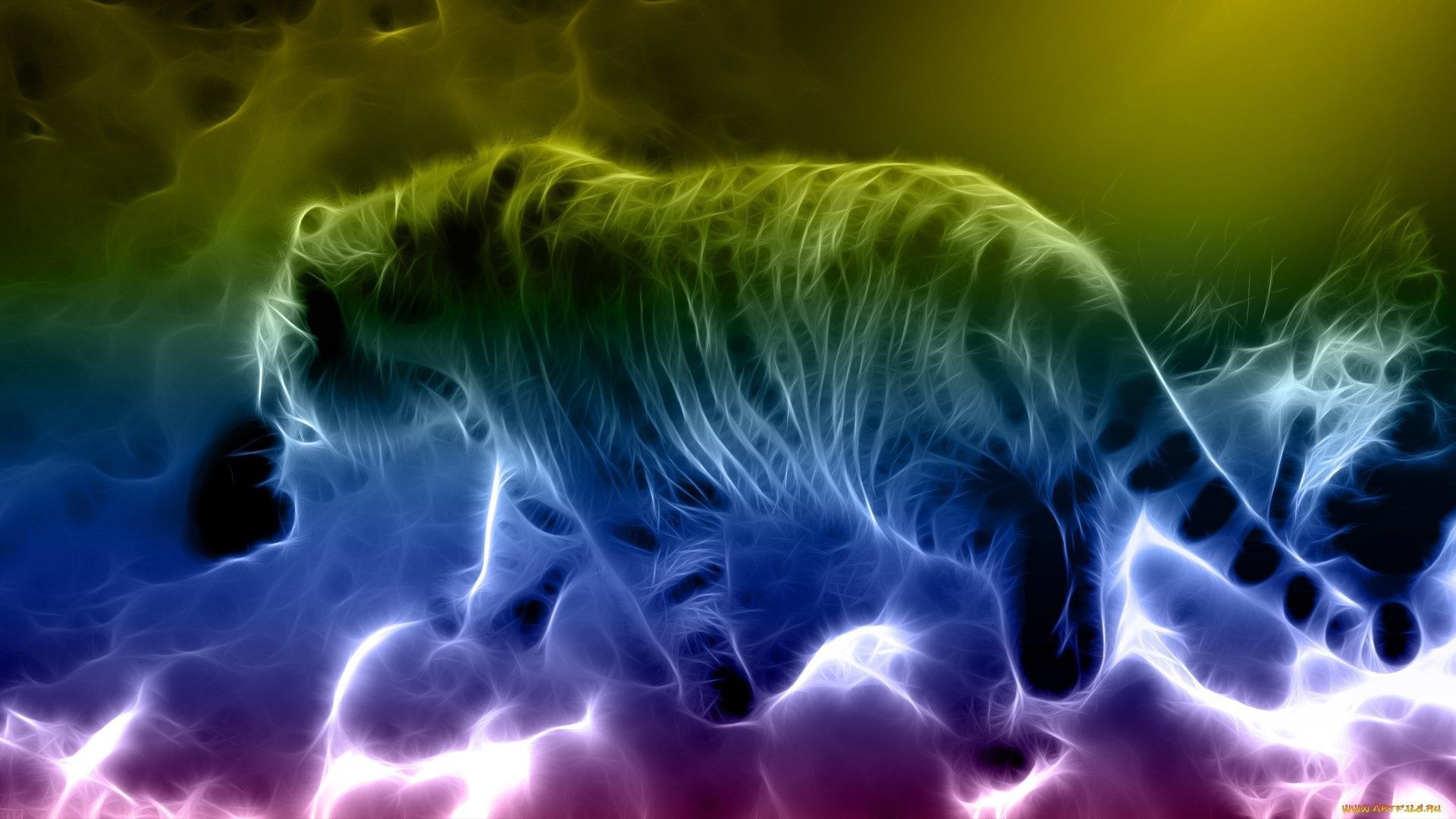Download Download Pretty Fantasy Rainbow Tiger Wallpaper | Full HD ...