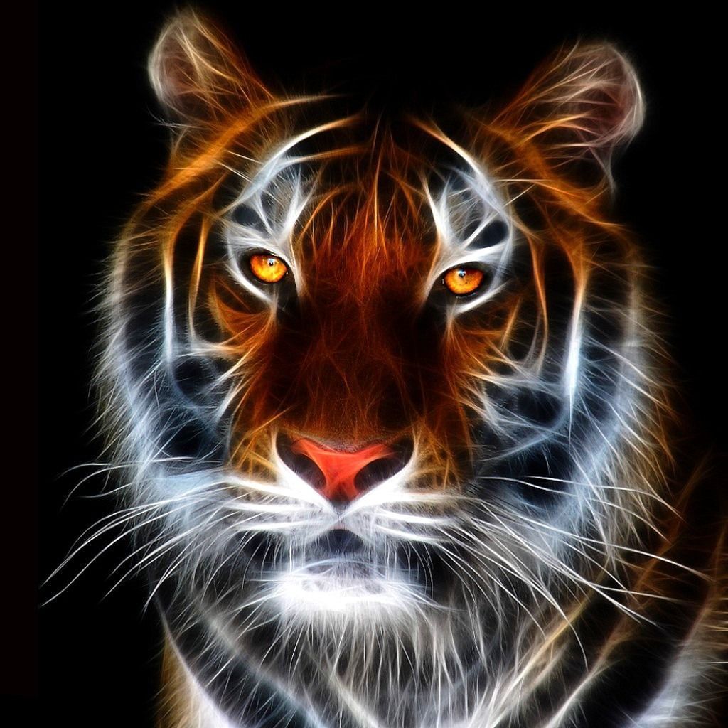 Download Tiger Wallpaper For Mobile | Insta Wallpaper