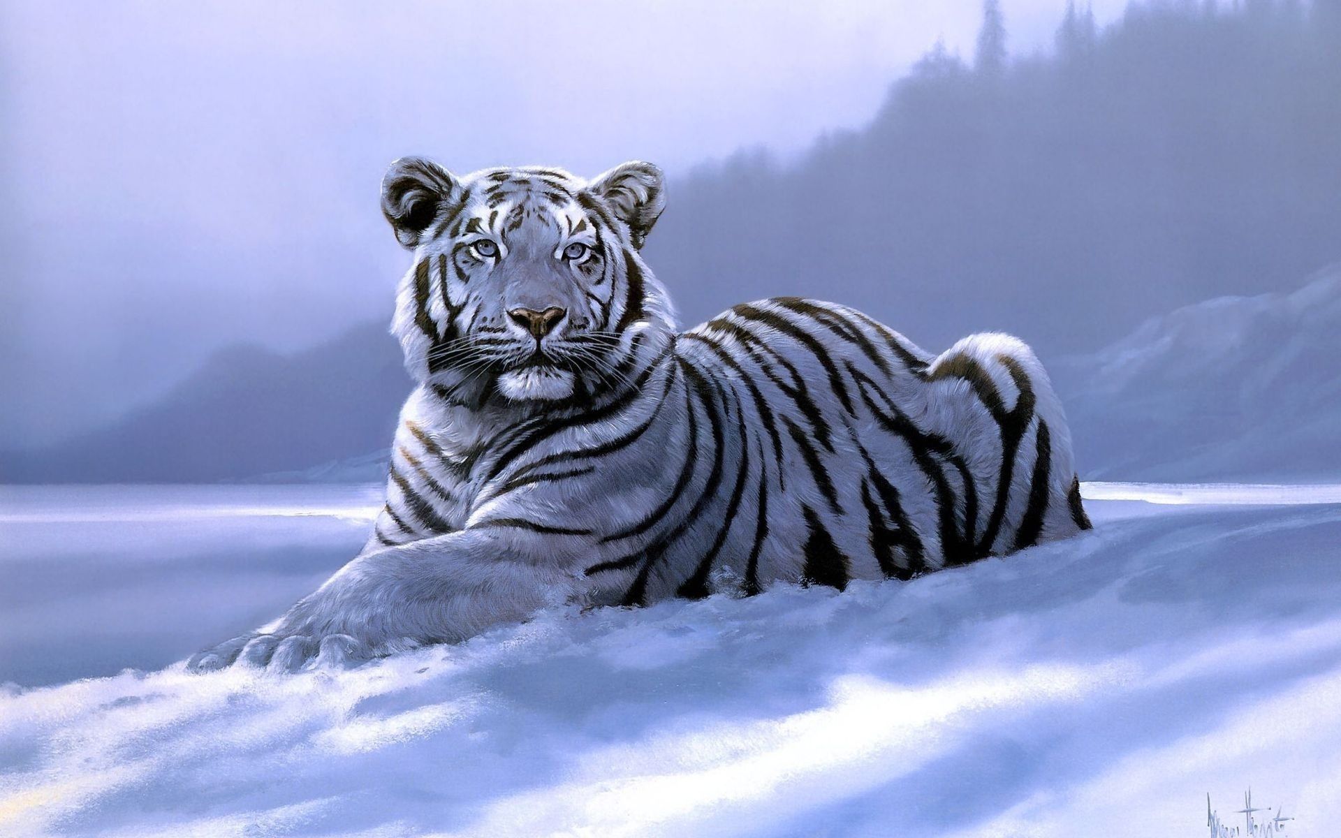 Free White Tiger Wallpapers - Wallpaper Cave