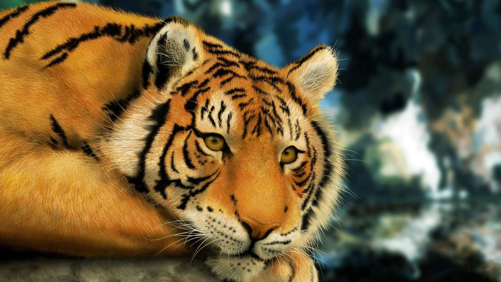 Tiger Wallpapers For Desktop