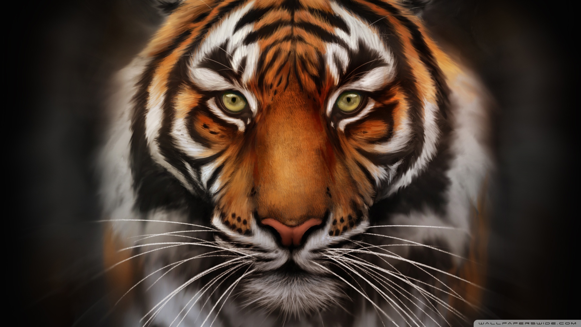 Save-The-Tiger HD desktop wallpaper : Widescreen : High Definition ...