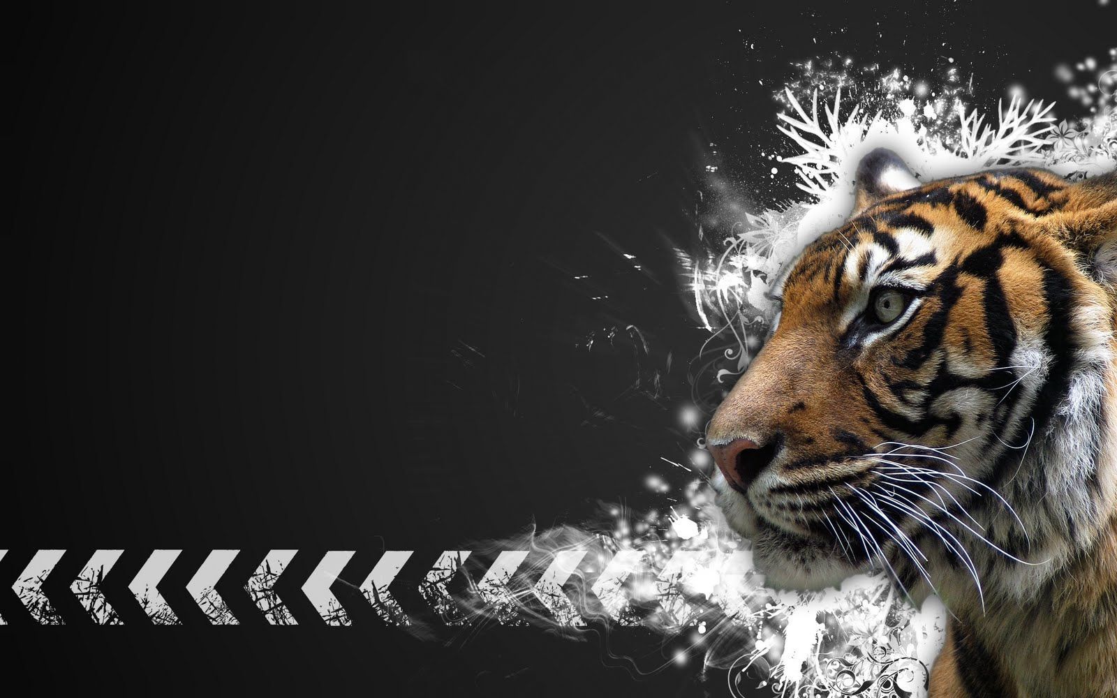 Tiger Desktop Wallpaper HD