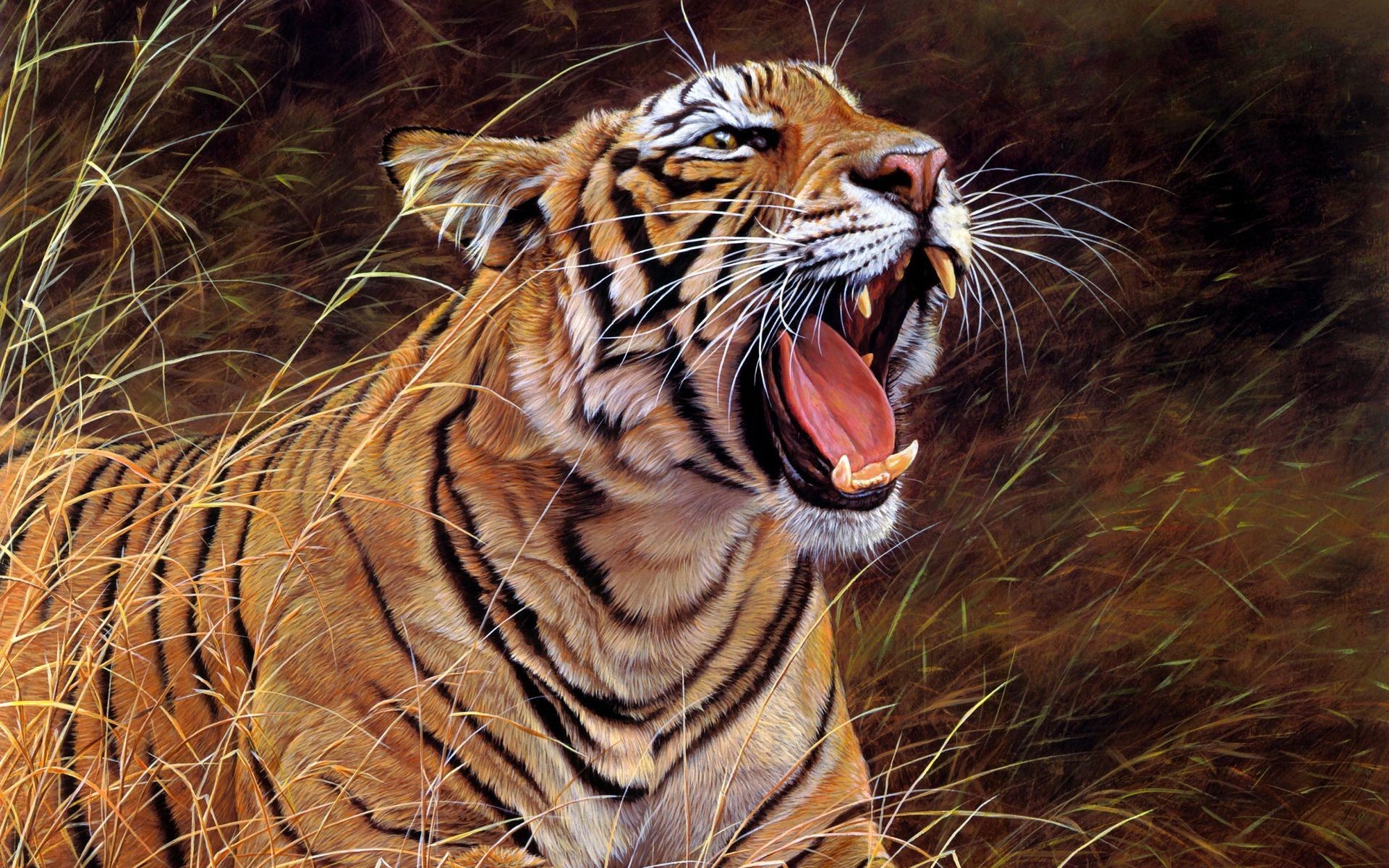 Free Tiger Abstract Wallpaper HD Resolution #ChgM5 « Wallx