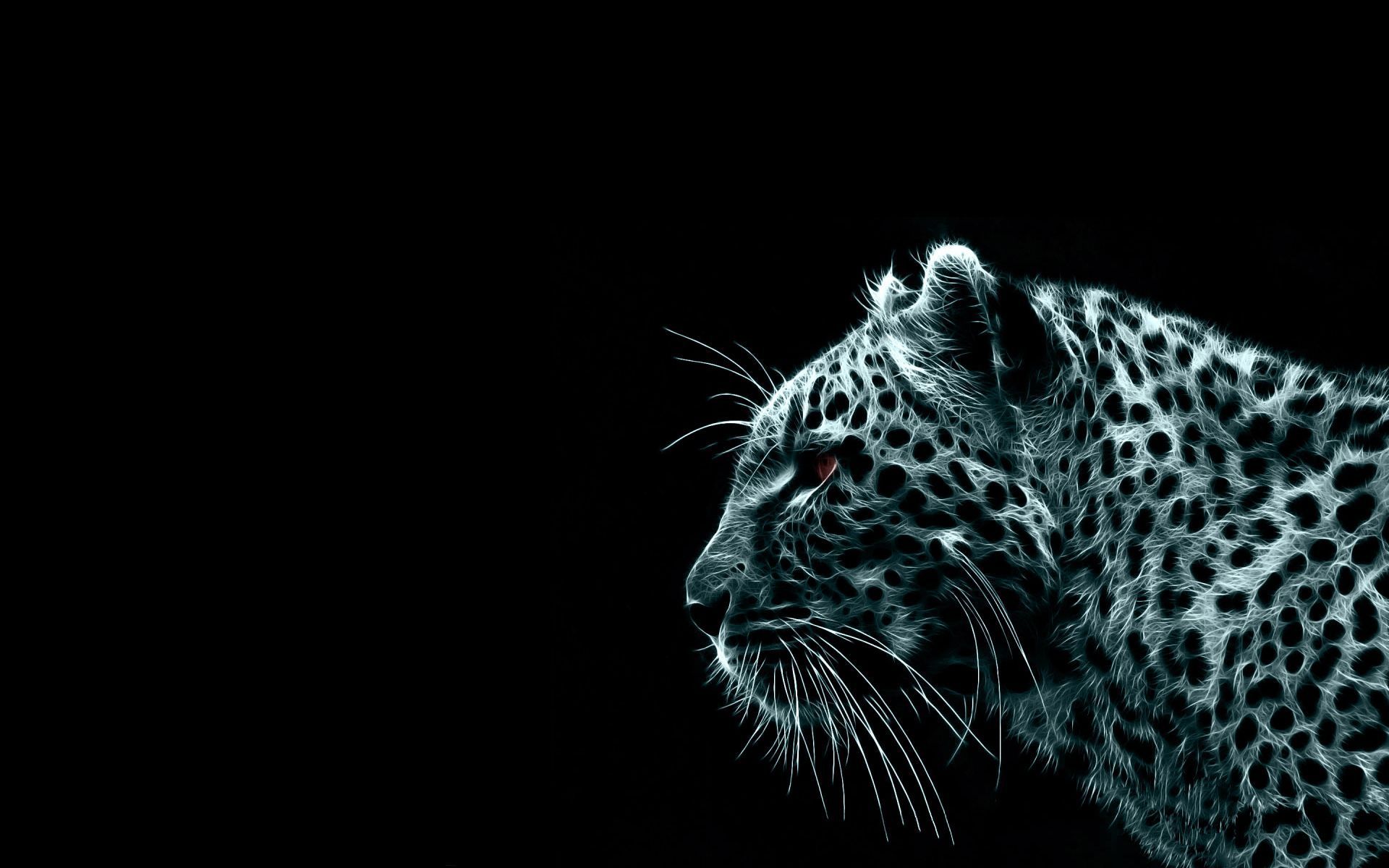 1060 Tiger HD Wallpapers Backgrounds - Wallpaper Abyss
