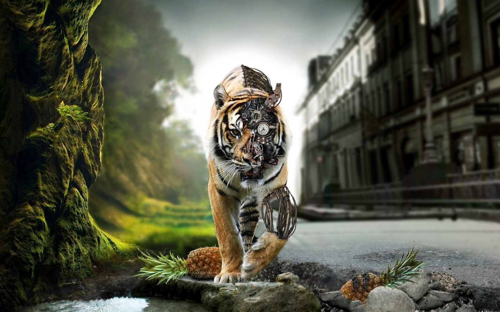 3d tiger wallpaper GRS19 | WallpaperGarns