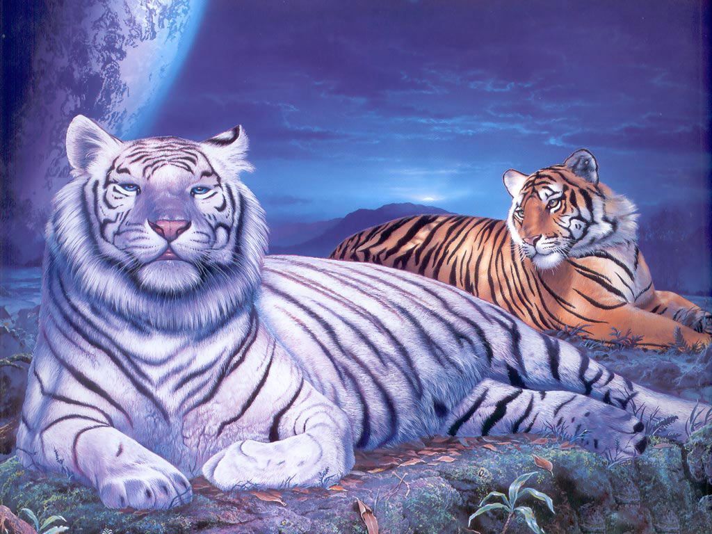 tigers wallpaper 3d 2 - High Definition : Widescreen Wallpapers