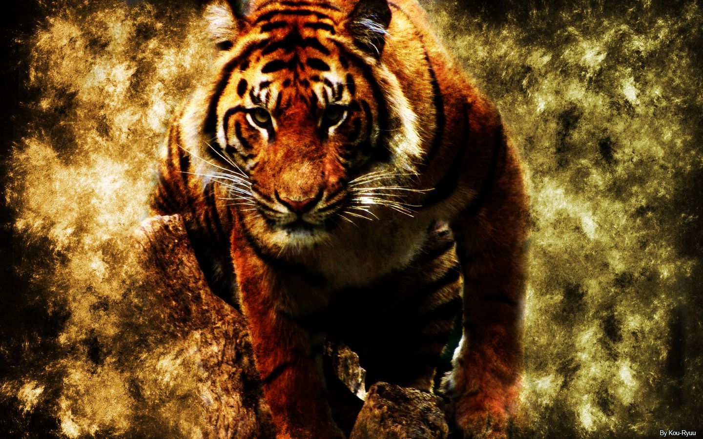 Tiger ♥ ~ - Tigers Wallpaper (10309507) - Fanpop