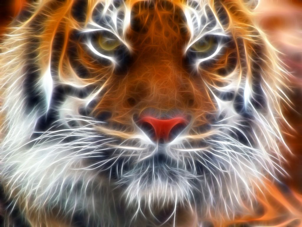 Amur Tiger Fractal - Amur Tigers Wallpaper (27143661) - Fanpop
