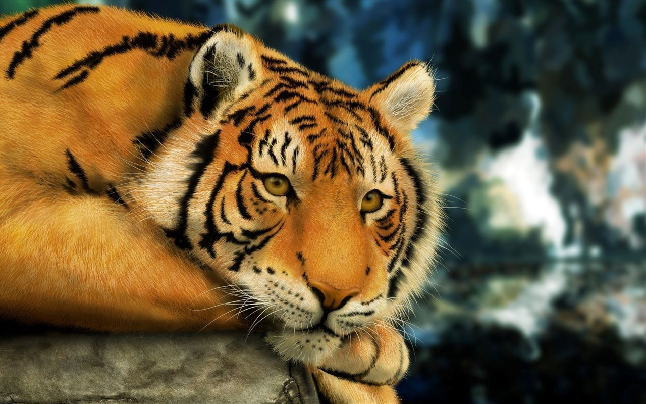 Thinking Tiger Wallpaper 1280x800 resolution wallpaper download