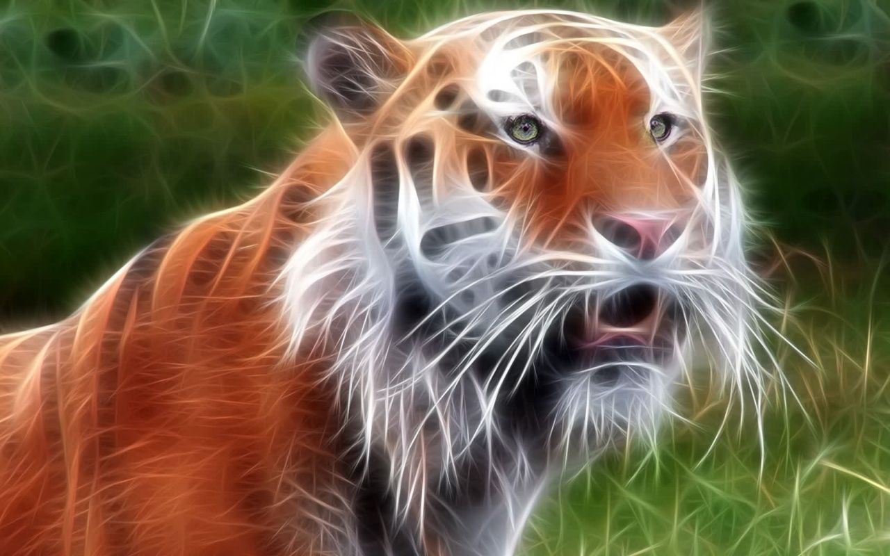tigers wallpaper 3d 3 - High Definition : Widescreen Wallpapers