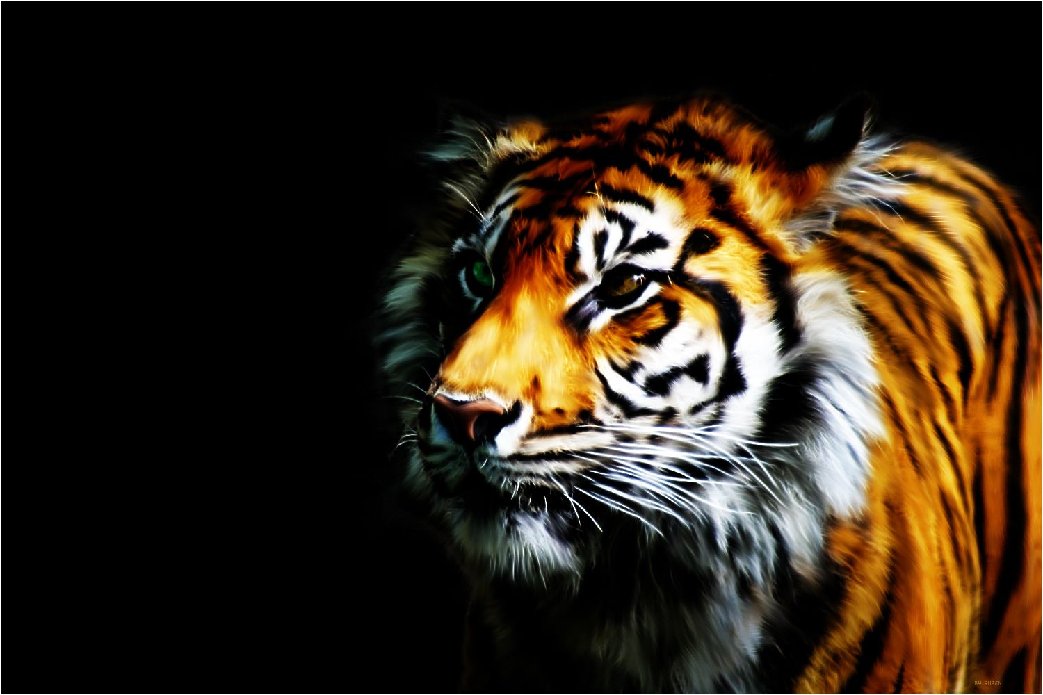 Wallpaper Tiger Tool - Widescreen HD Backgrounds