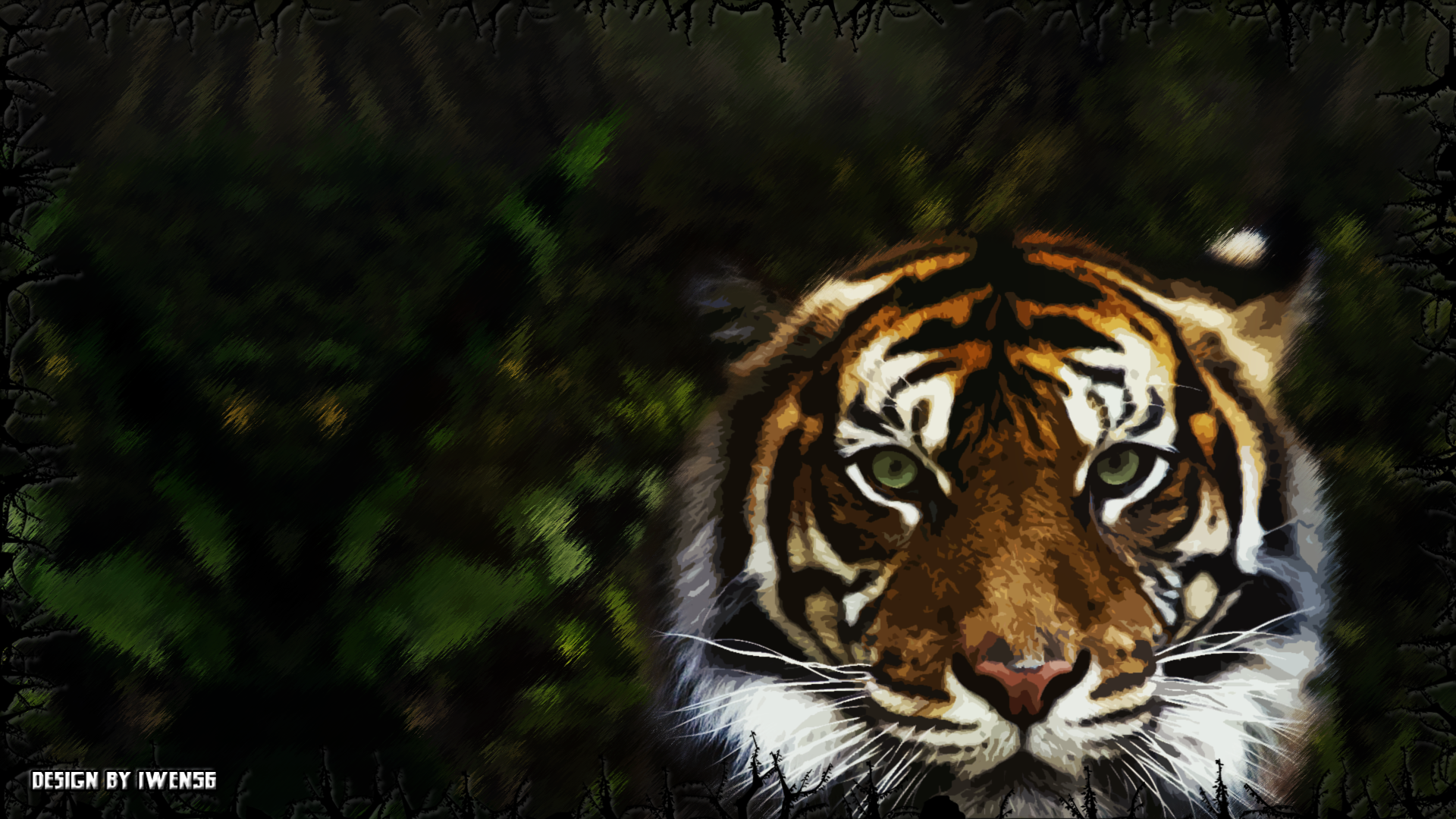 Wallpaper Tigre by iwen56 on DeviantArt