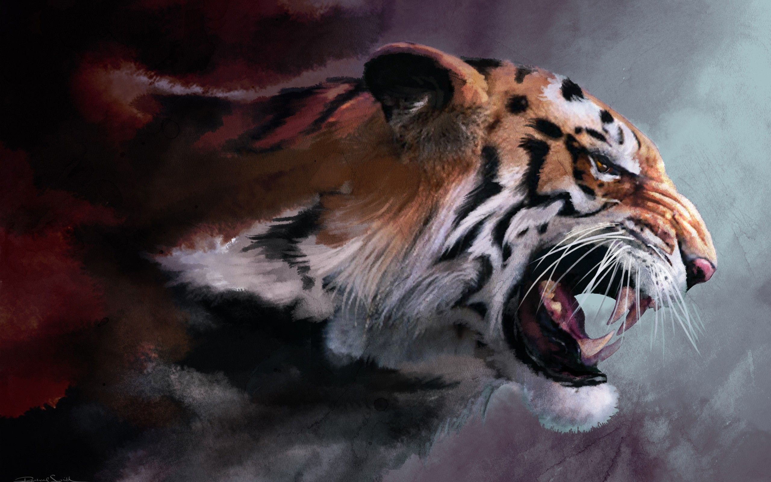 Tiger in the dark night desktop wallpaper | WallpaperPixel