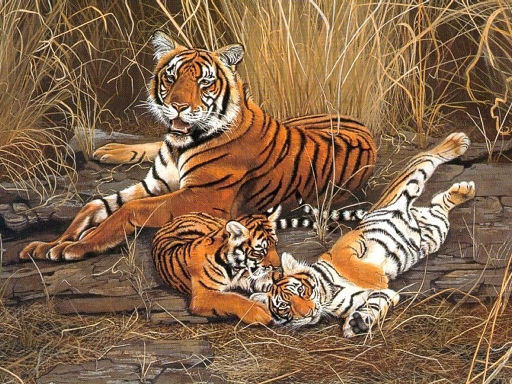 Other: Tiger Family Painting Tigers Tigre 10 Free Download ...