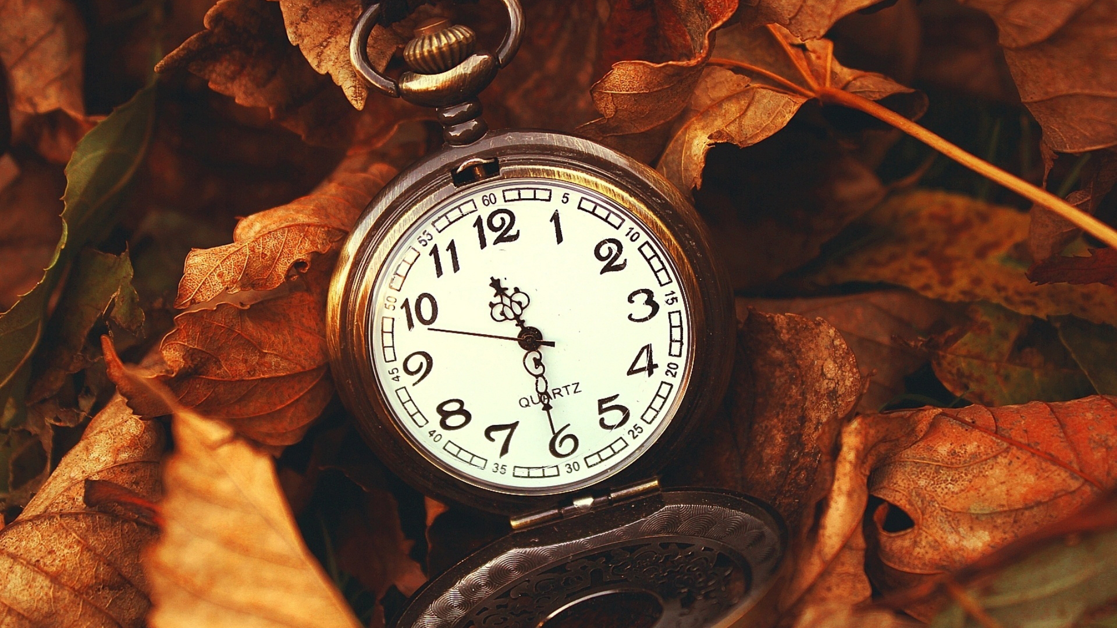 Download Wallpaper 3840x2160 Leaves, Time, Macro, Nature, Hours 4K ...