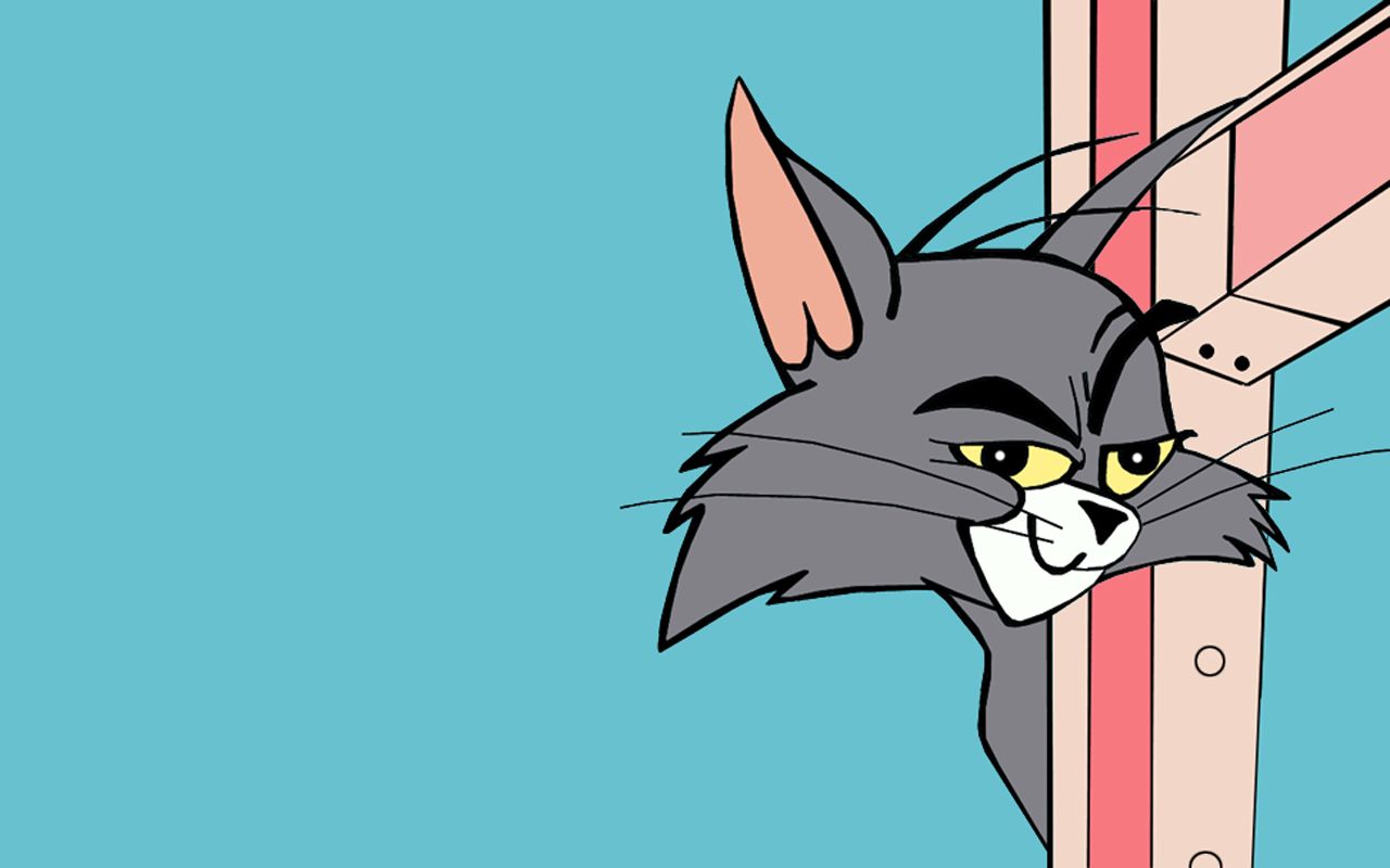 Tom And Jerry Wide Wallpaper 88660
