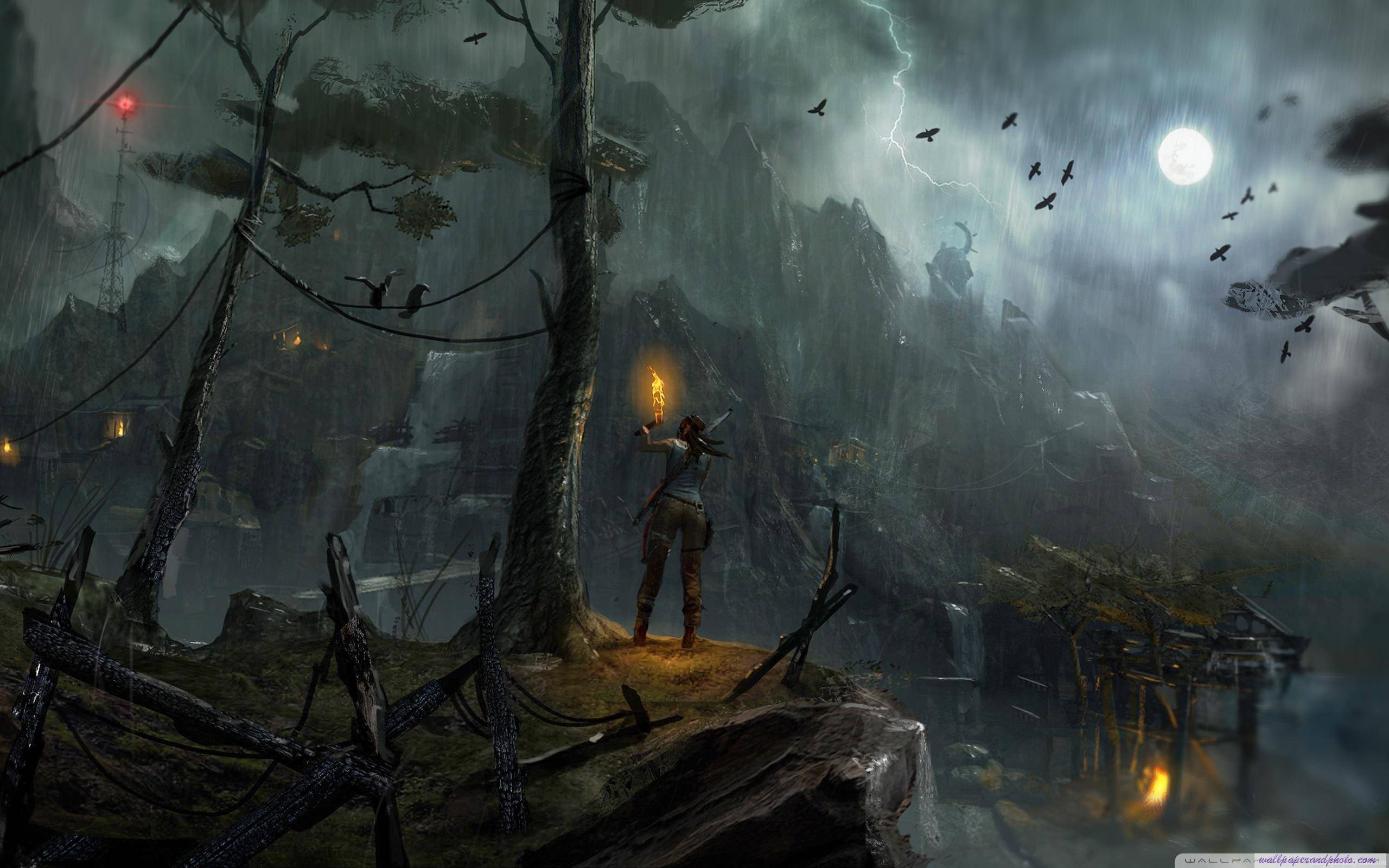 Tomb Raider 2013 Night Concept Art HD 16:9 16:10 desktop wallpaper ...