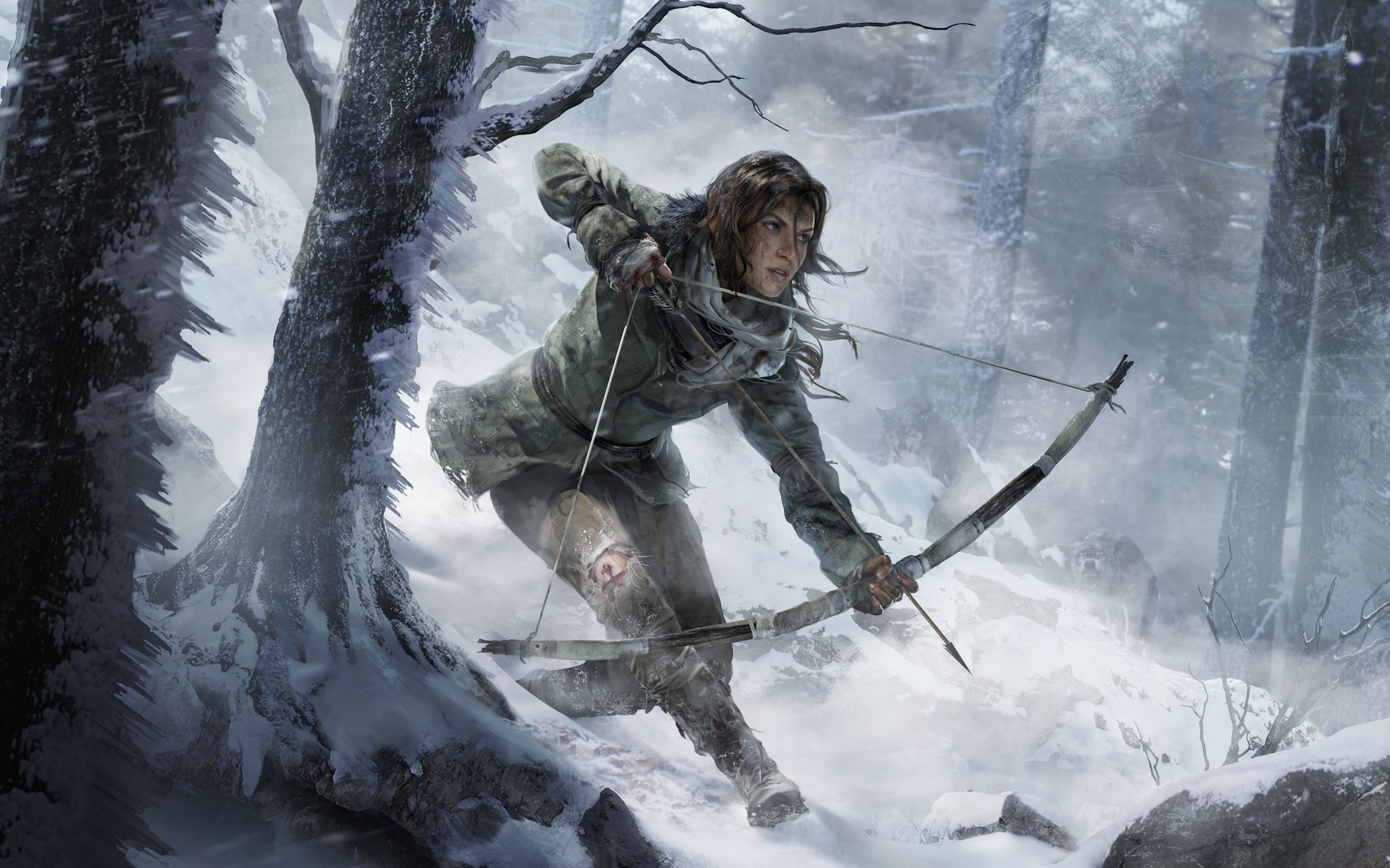 Rise of the Tomb Raider 2015 Game Wallpapers | HD Wallpapers