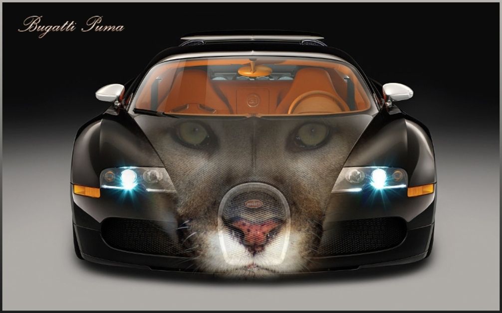 Top 10 Best Bugatti Super Car Wallpapers. - Original Preview - PIC ...