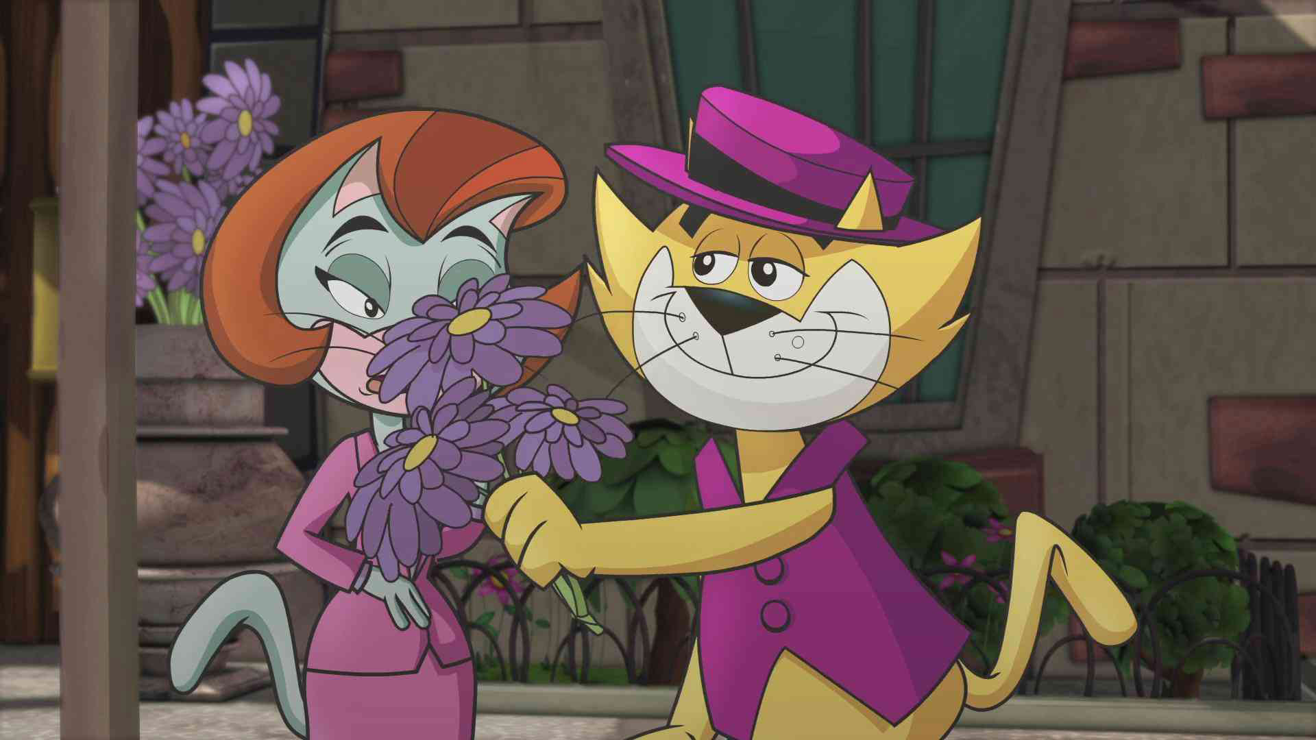 Top Cat Wallpapers Daily Backgrounds in HD
